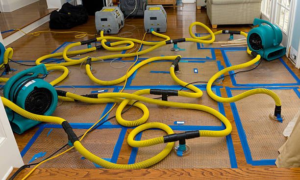 Professional Storm Water Damage Restoration technician working in Oakmont, PA